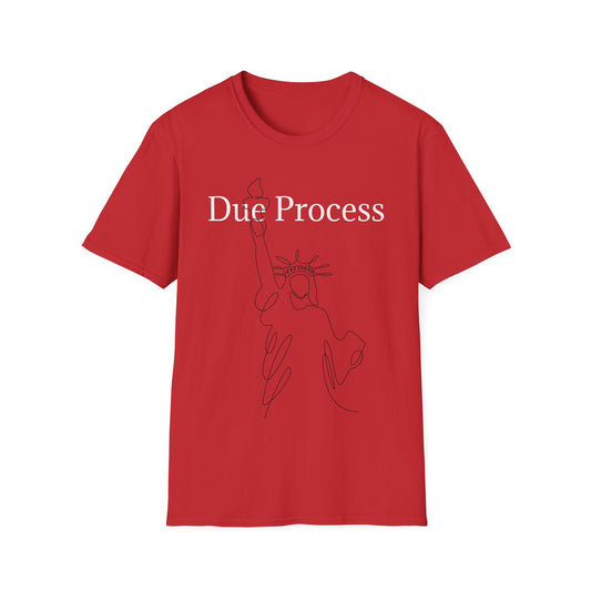 "Due Process" Unisex Softstyle T-Shirt